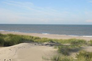 Duinen Duinen